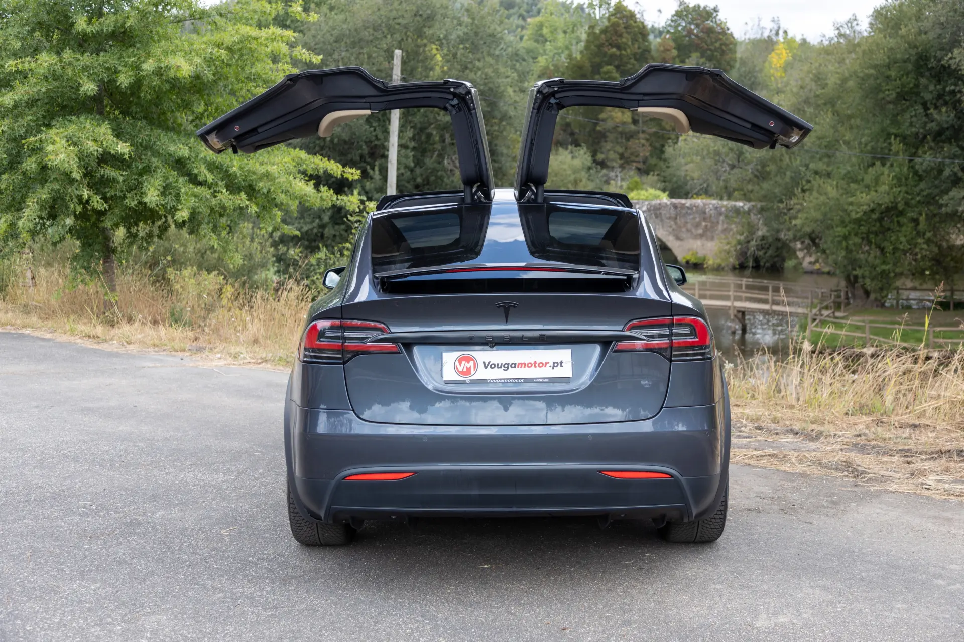 Tesla Model X Signature P90D AWD 52