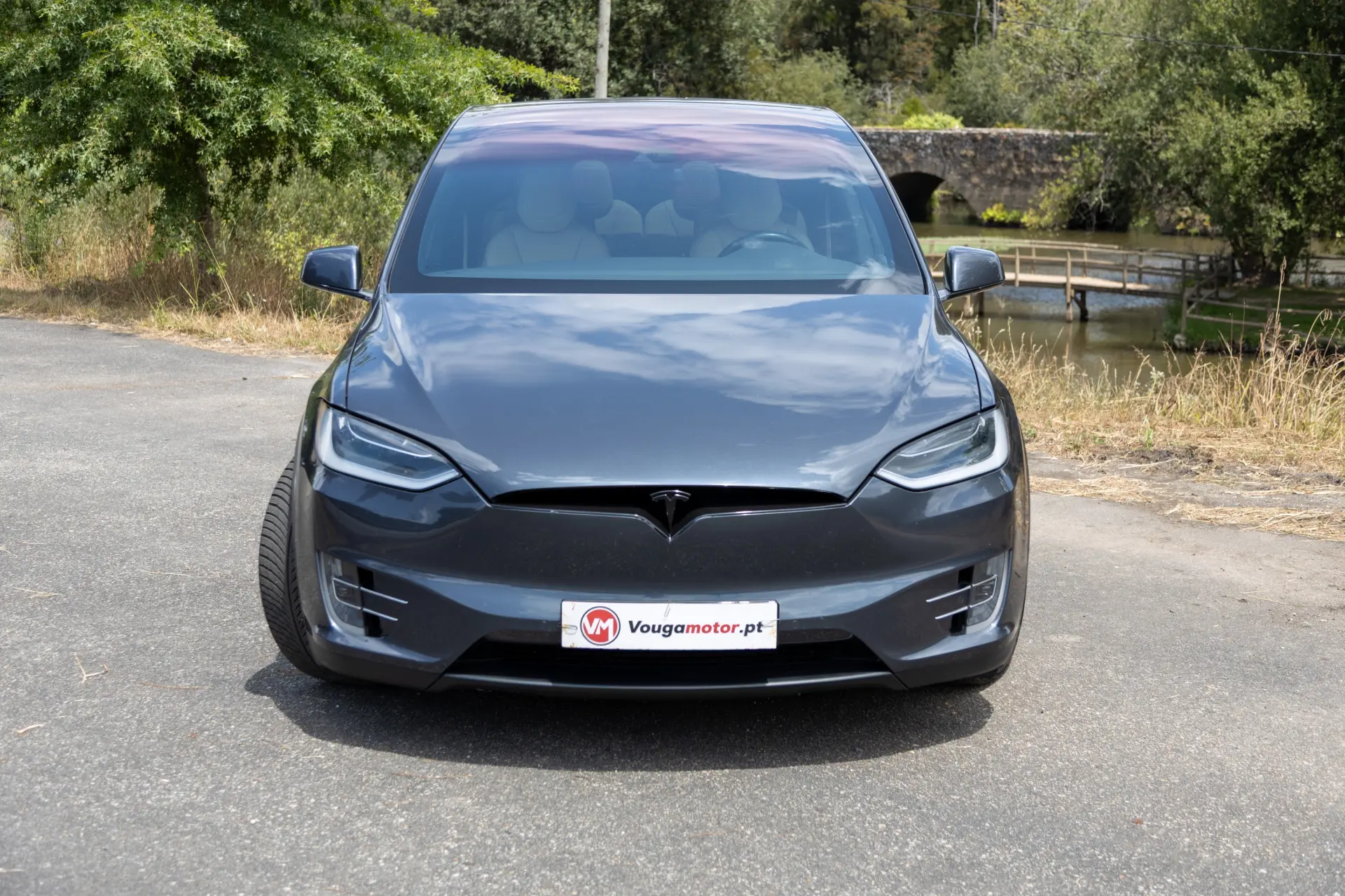 Tesla Model X Signature P90D AWD 4