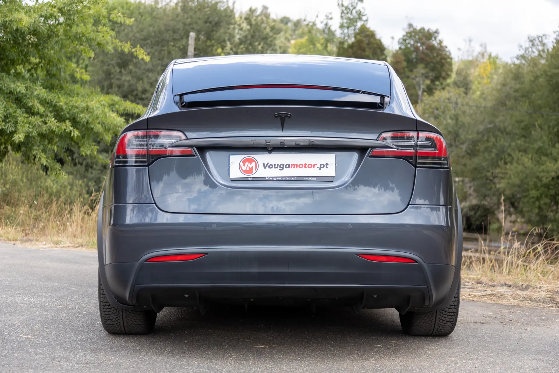 Tesla Model X Signature P90D AWD 33