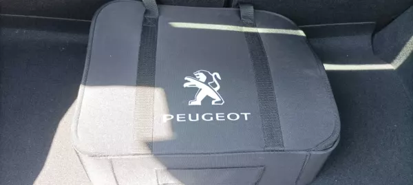 Peugeot e-208 50 KWh Active Pack 24