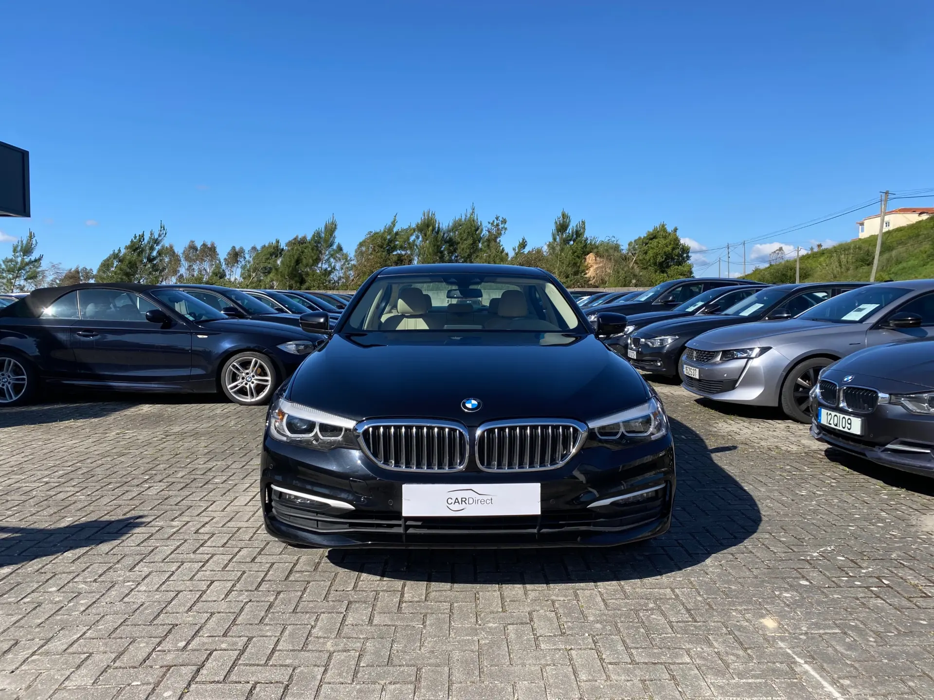 BMW 520 d Line Luxury Auto 2