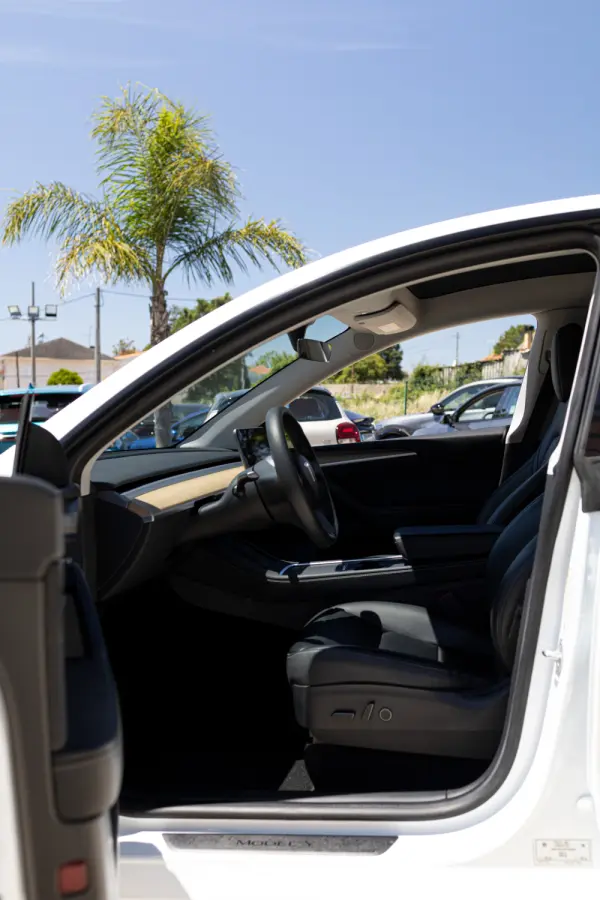 Tesla Model Y Standard RWD 2