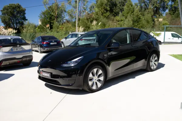 Tesla Model Y Standard 12