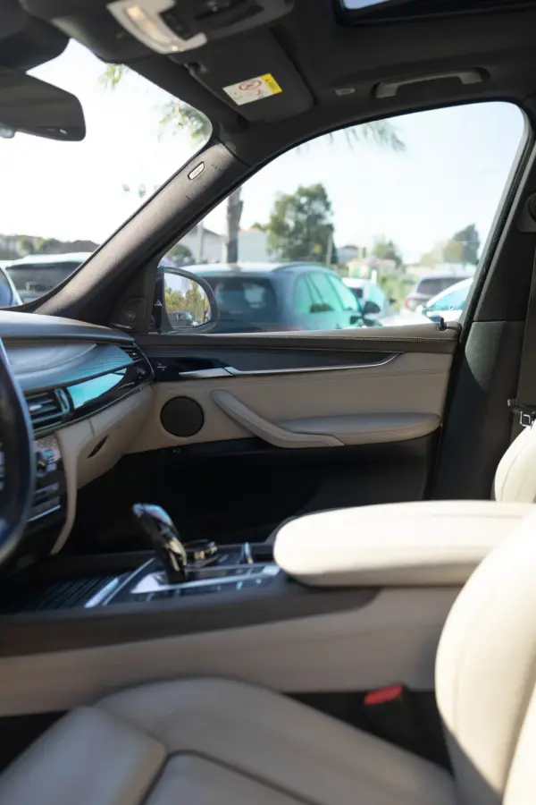 BMW X5 40e xDrive 17