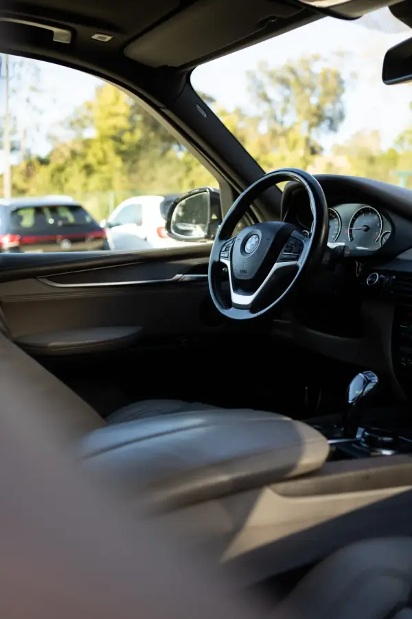 BMW X5 40e xDrive 29