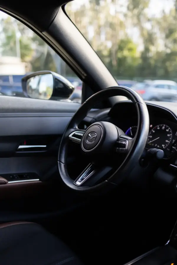 Mazda MX-30 e-SKYACTIV FIRST EDITION 10