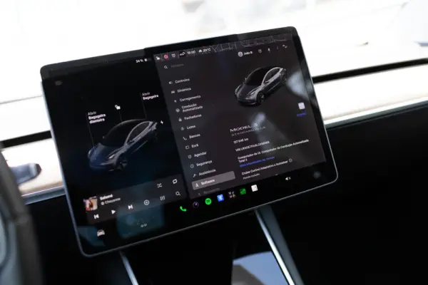 Tesla Model 3 Standard RWD Plus 14
