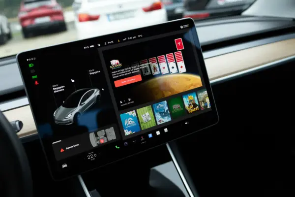 Tesla Model 3 Standard RWD Plus 19