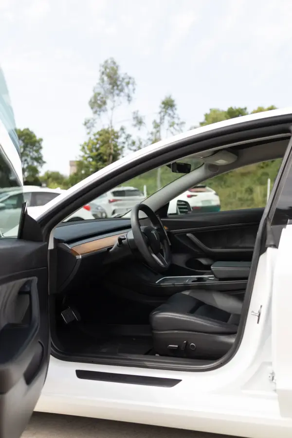 Tesla Model 3 Standard Range Plus RWD 9