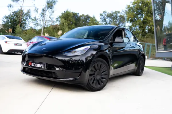 Tesla Model Y Standard 12