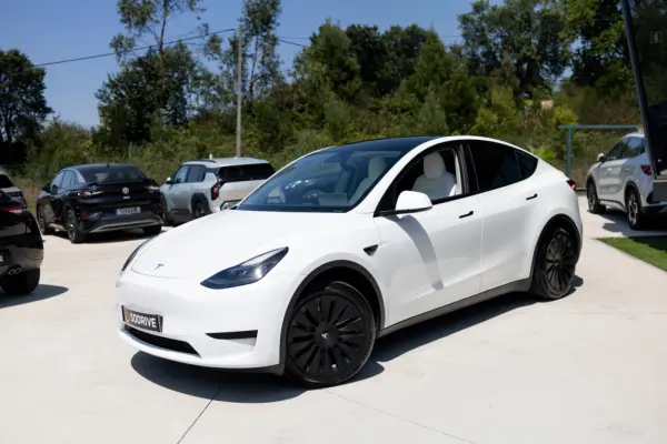 Tesla Model Y Standard 19