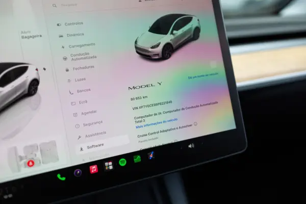Tesla Model Y Standard 9