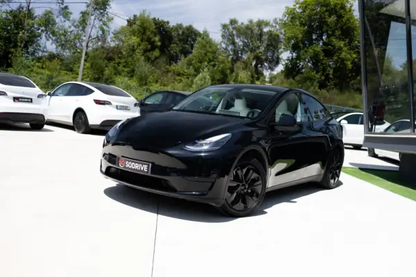 Tesla Model Y Standard 22