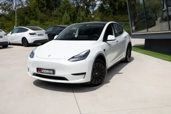 Tesla Model Y Standard 12