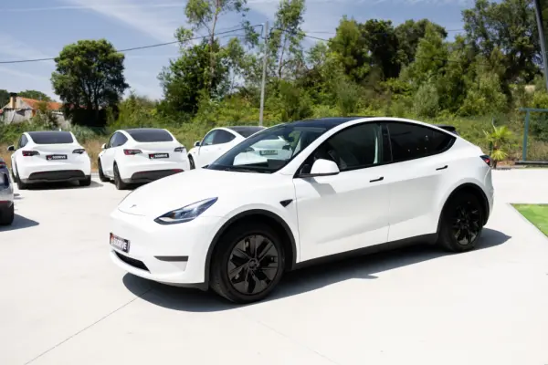 Tesla Model Y Standard 4