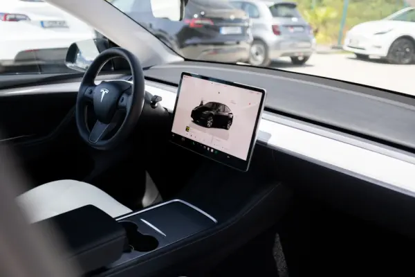 Tesla Model Y Standard 10