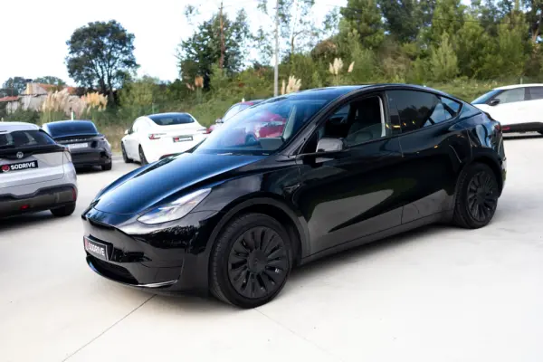 Tesla Model Y Standard 4