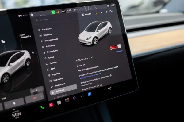 Tesla Model Y Standard 17