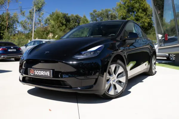 Tesla Model Y Standard 7