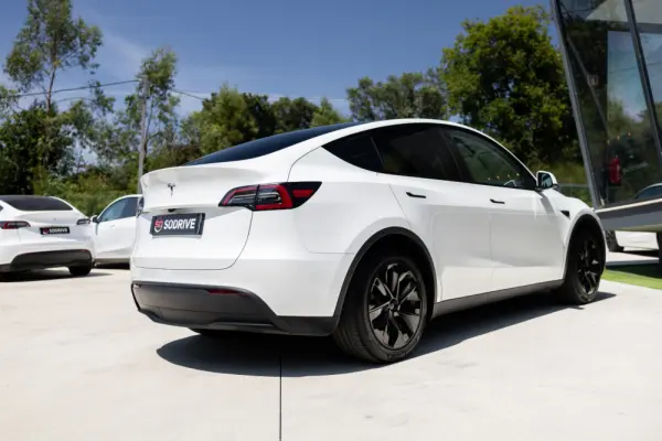 Tesla Model Y Standard 19