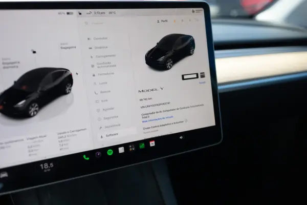 Tesla Model Y Standard 11