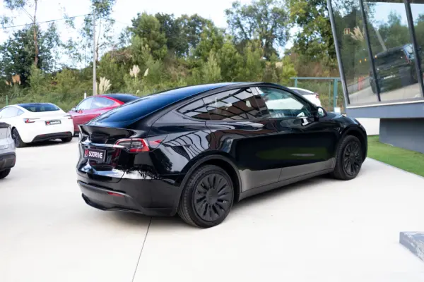 Tesla Model Y Standard 6