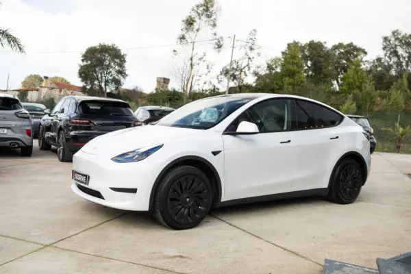 Tesla Model Y Standard 4