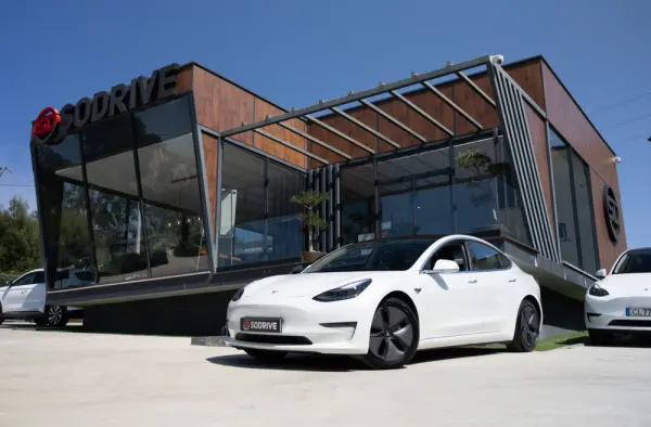 Tesla Model 3 Long-Range Dual Motor AWD 1