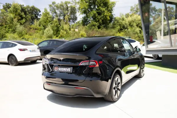 Tesla Model Y Standard 4