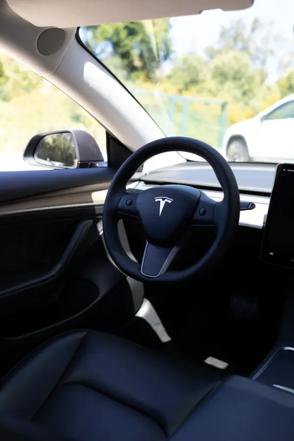 Tesla Model 3 Standard RWD 2