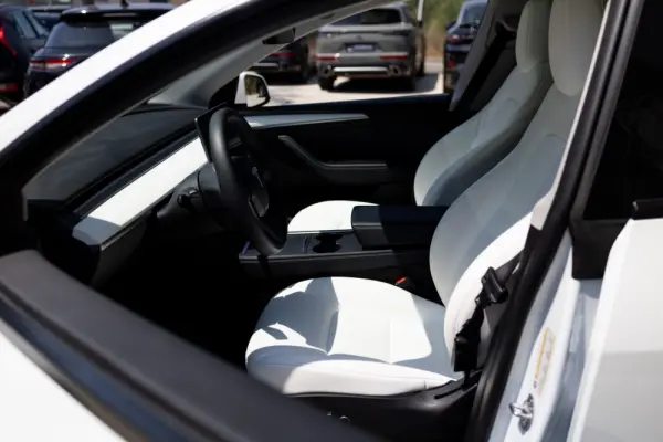 Tesla Model Y Standard 14