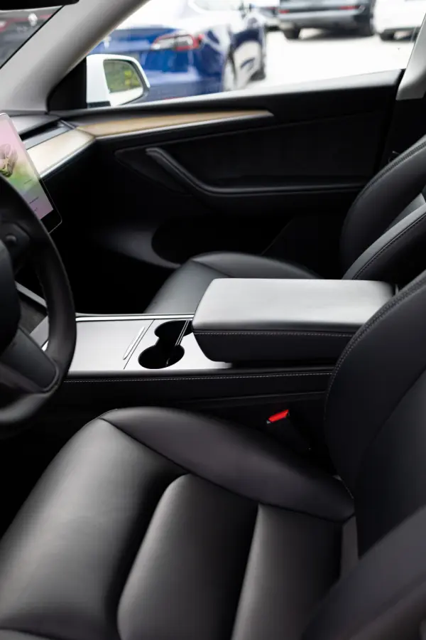Tesla Model Y Standard 10