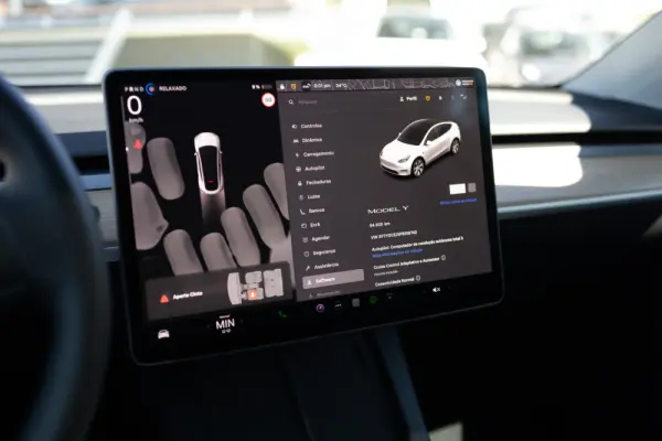 Tesla Model Y Standard 7