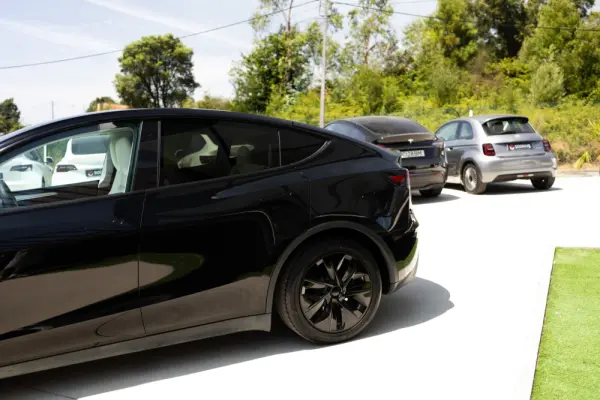 Tesla Model Y Standard 9