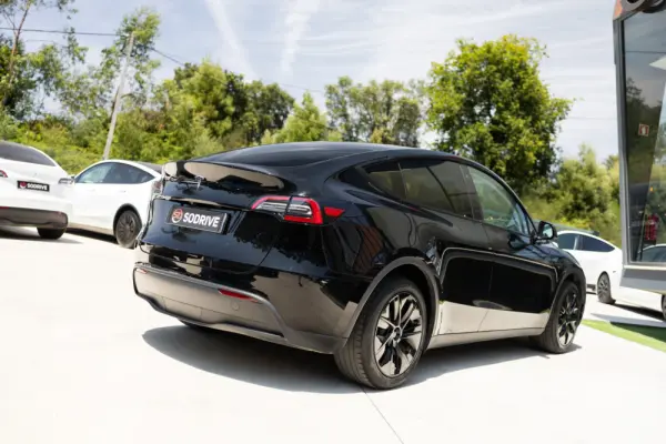 Tesla Model Y Standard 20