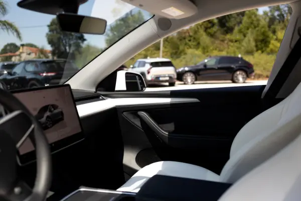Tesla Model Y Standard 7