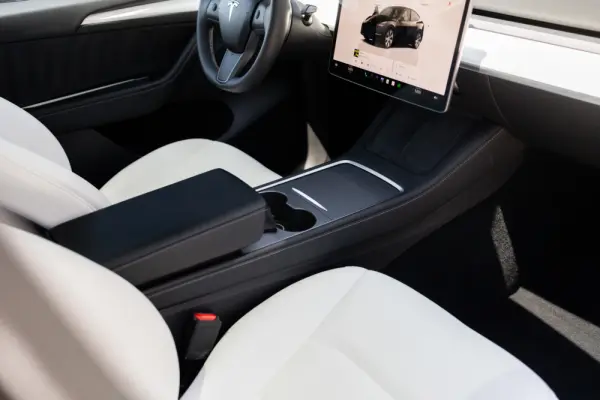 Tesla Model Y Standard 12