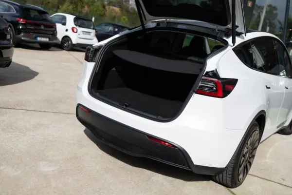 Tesla Model Y Standard 19