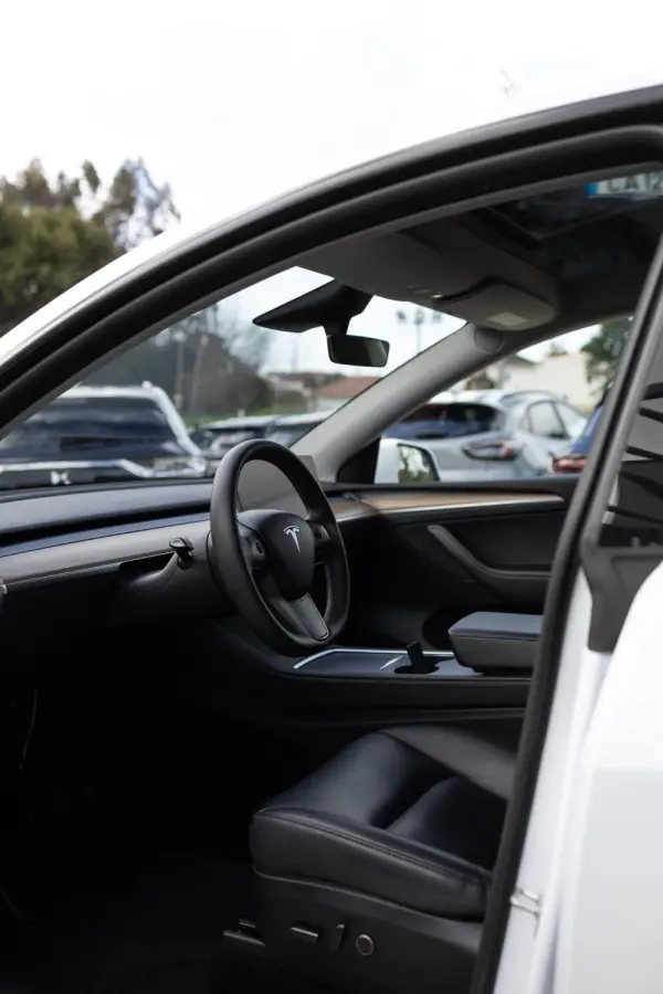 Tesla Model Y Standard 10