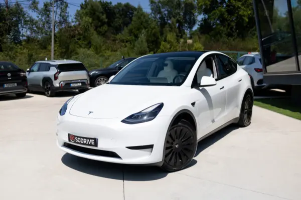 Tesla Model Y Standard 8