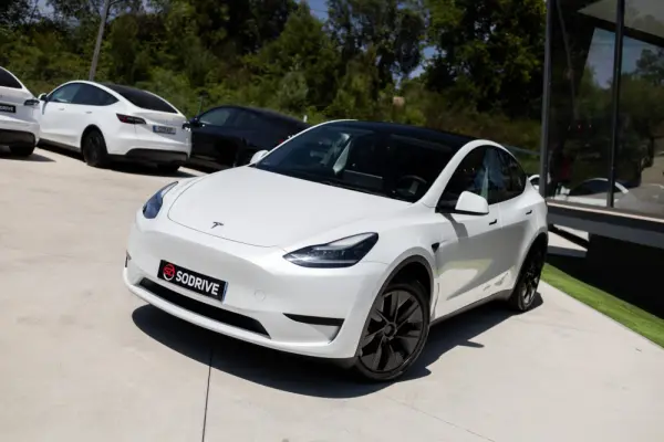 Tesla Model Y Standard 5