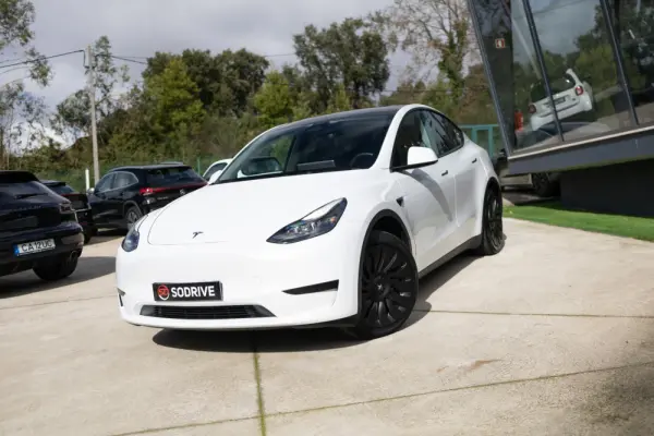 Tesla Model Y Standard 11