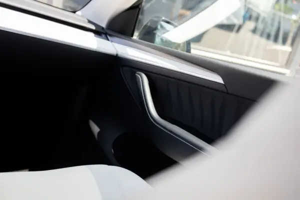 Tesla Model Y Standard 19