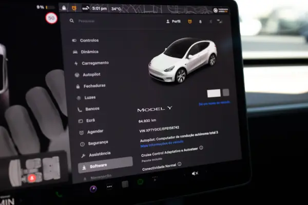 Tesla Model Y Standard 17
