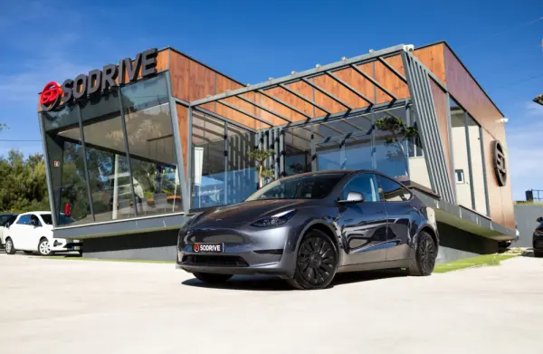 Tesla Model Y Standard 1