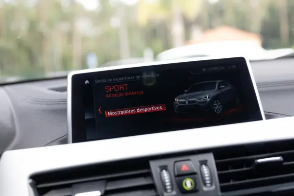 BMW X2 16 d sDrive Advantage 23