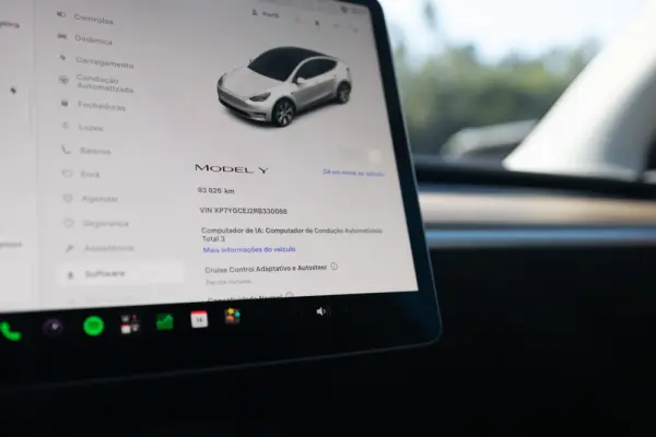 Tesla Model Y Standard 10