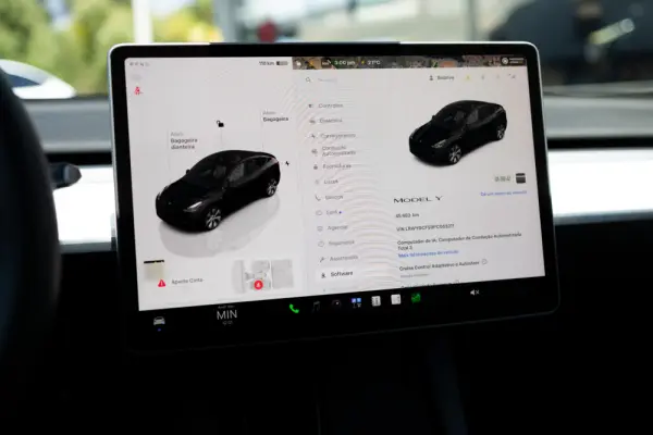 Tesla Model Y Standard 14