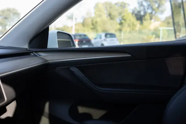 Tesla Model Y Long Range Dual Motor AWD 21