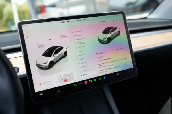Tesla Model Y Standard 21